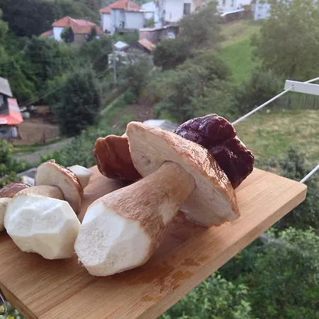 Guest house Kermedchieva